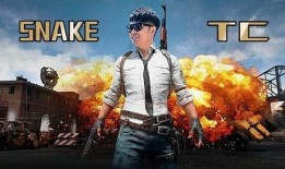 壮哥爆料吃鸡视频大全最新