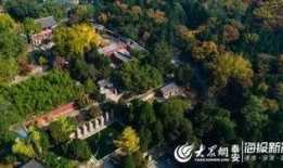 泰山景区爆料人是谁啊最新消息,泰山景区爆料人最新身份揭晓！